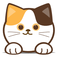 照片